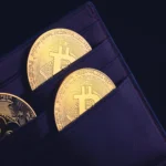 En İyi Kripto Cüzdan Türleri ve Özellikleri