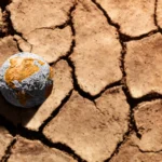 Çevre Bilimi Araştırmaları ve İklim Değişikliği